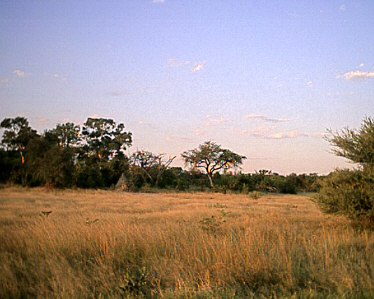 Botswana