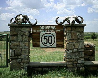 Order whilst stocks last