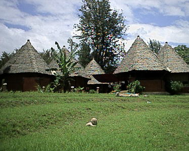 Order whilst stocks last