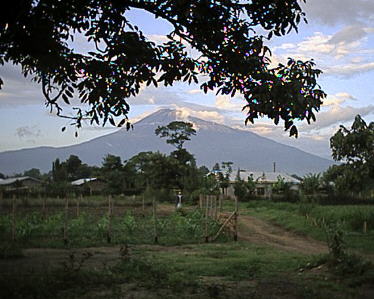 Order whilst stocks last